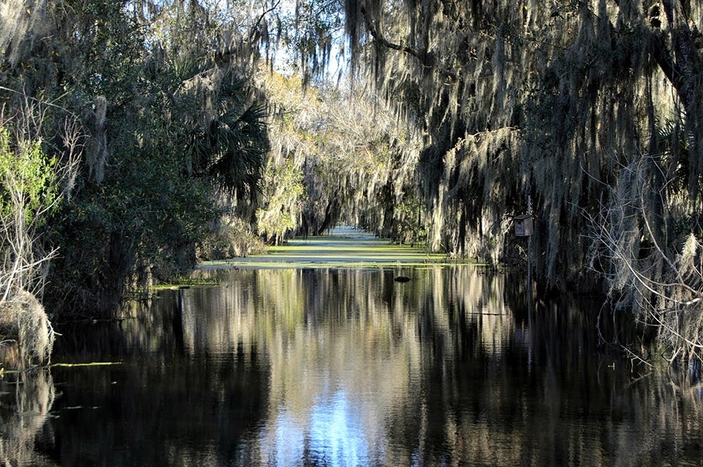 Circle B Bar Reserve in Lakeland